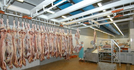 Дезинсекция на мясокомбинате в Одинцово, цены на услуги